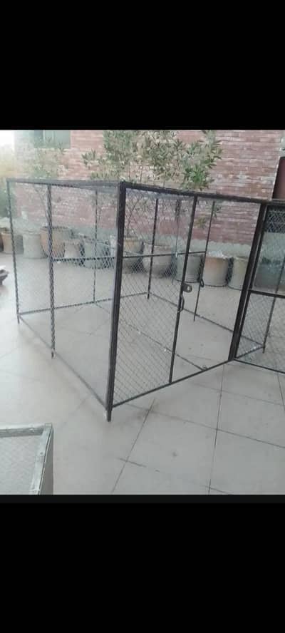steel cage/ metal cage/ hen cage