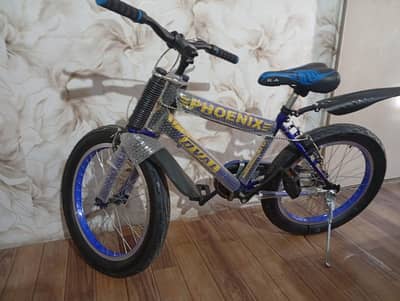 bicycle 20 fatty tires 0331/5507990