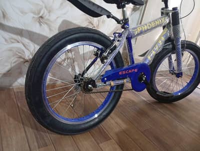 cycle 20 inch / fatty tire cycle