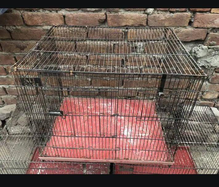 Birds cage for sale. - Cages, Crates & Doors - 1110323808