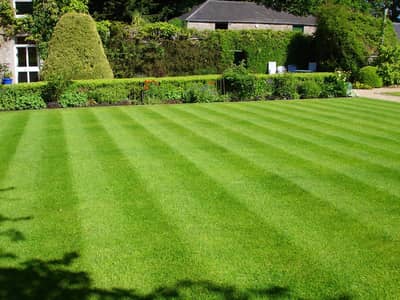 Artificial grass / Astroturf / futsal / fifa grass / Carpet tiles