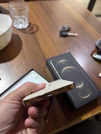 Iphone 12 pro max pta