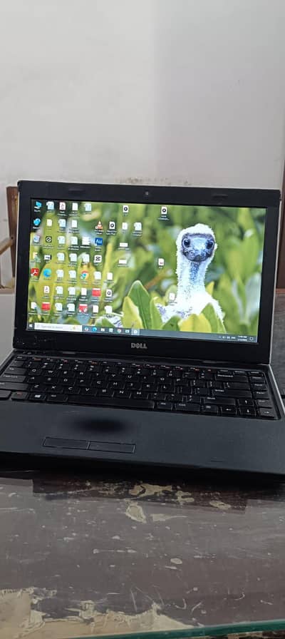 laptop hp2500