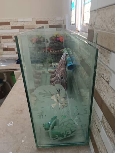 Large size aquarium for goldfish with decorations