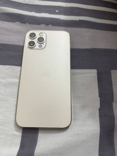 iPhone 12 Pro | PTA Approved | Golden Color | 10/10 Condition