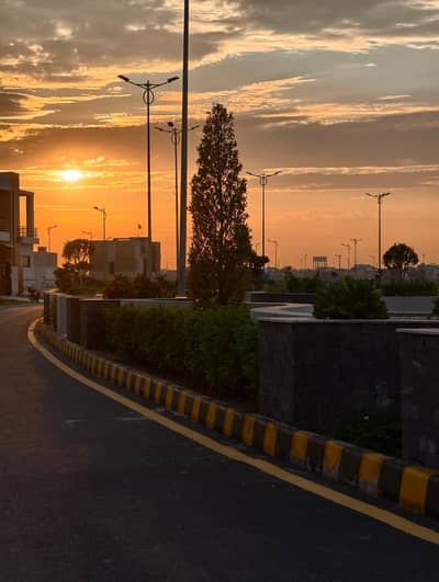 Female Asistnt  ki zrurt hy