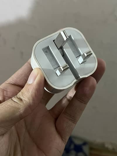 iPhone 20watt original adopters