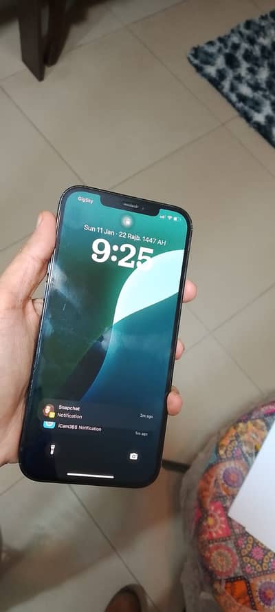 Apple iPhone 12 Pro Max