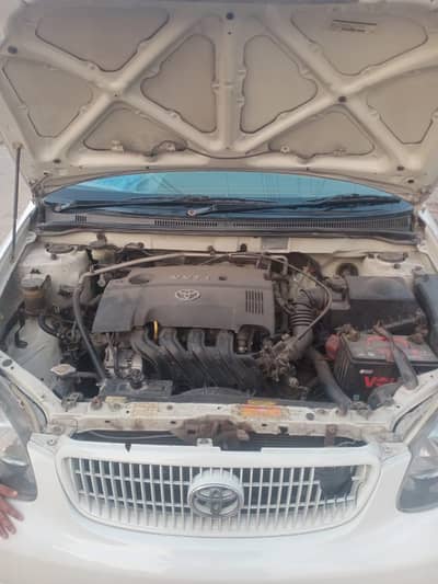 Corolla Total genuine