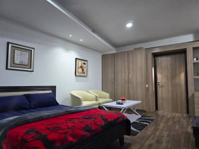 Diplomatic Enclave Fully Furnished Newly Renovated Studio Apartment Available For Rent