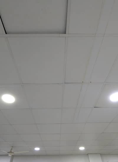 False  Ceiling