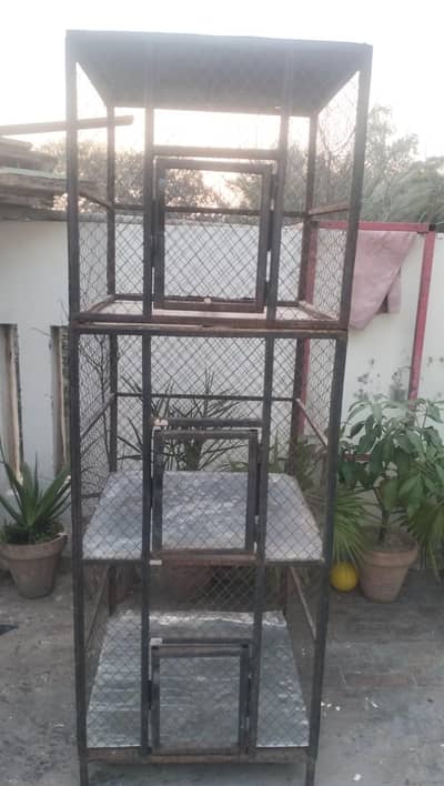 Hen , Pigeon,  Parrot Cage