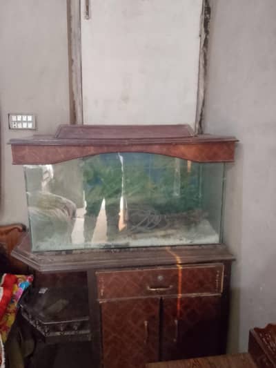 fish house aquarium