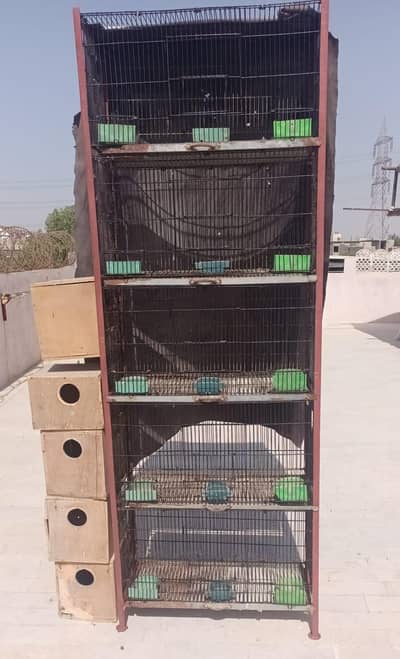 folding Cages 5 portions for sale