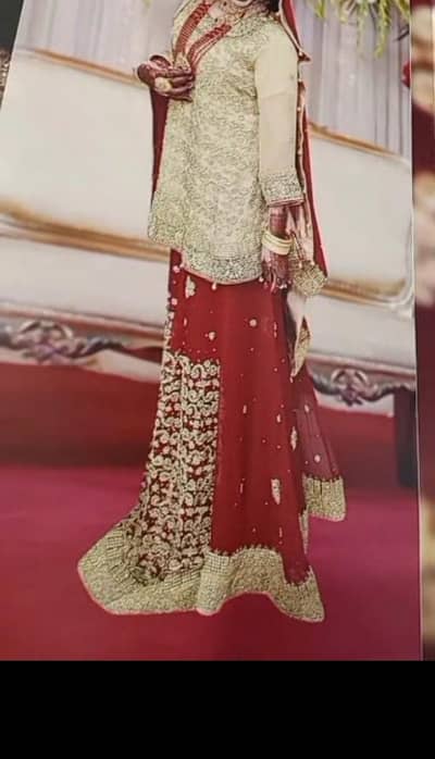 Bridal lehenga choli