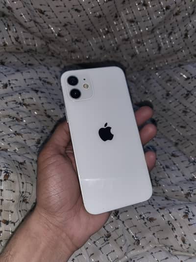 Exchange iphone 12 64gb face id true tone Active battery 100 read add
