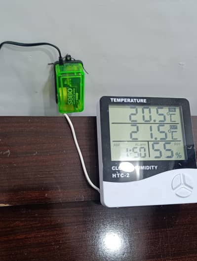 red cap gold fish butterfly tail