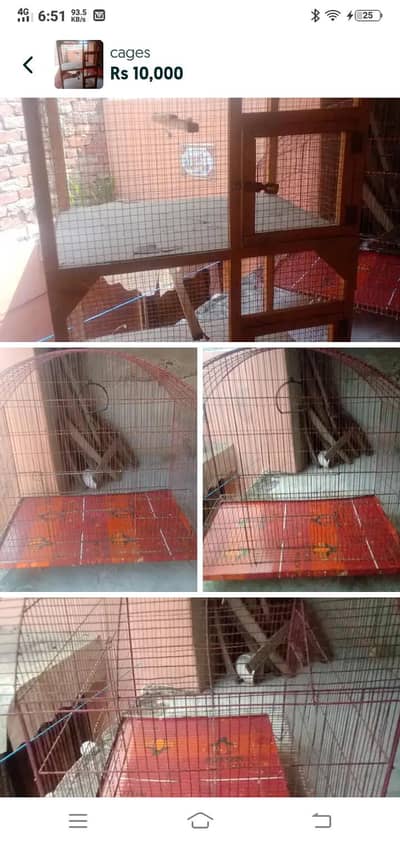 cage Wtp 03204847881