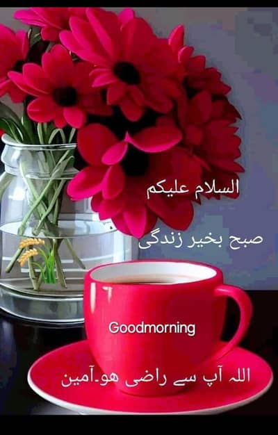 jobs offer koi Bhai km krna chah Raha ho or km janta ho