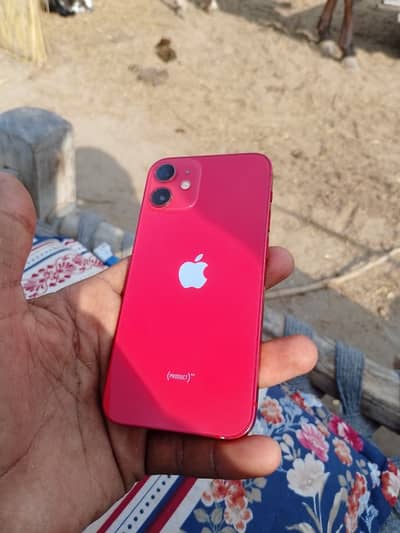 Apple iPhone 12 mini