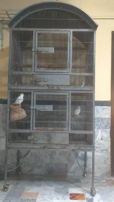 Heavy Cage For Parrots, Macaw, Gray , Lotino