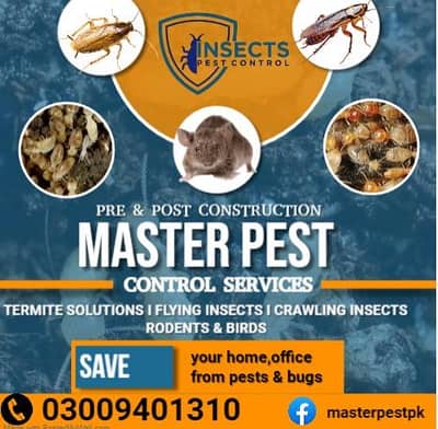Termite Control/Pest Control/Dengue Spray/Fumigation