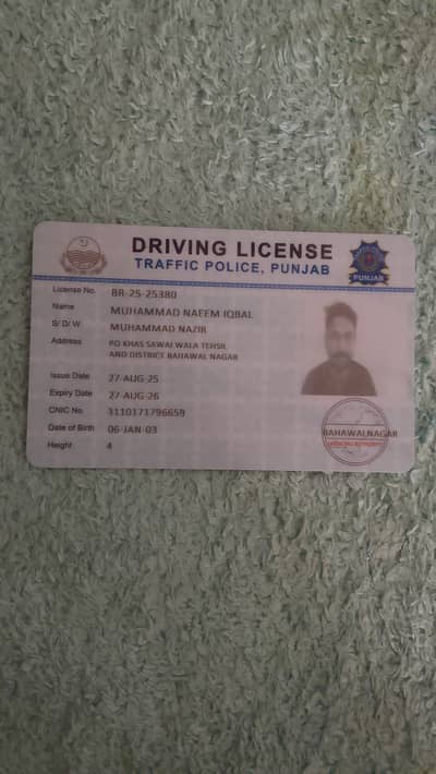 naeeminsari301@gmail. com