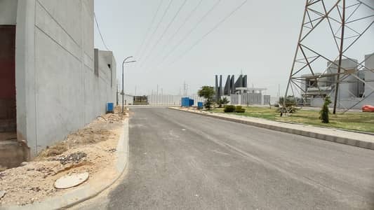 Saima Downtown The Best Option For Living