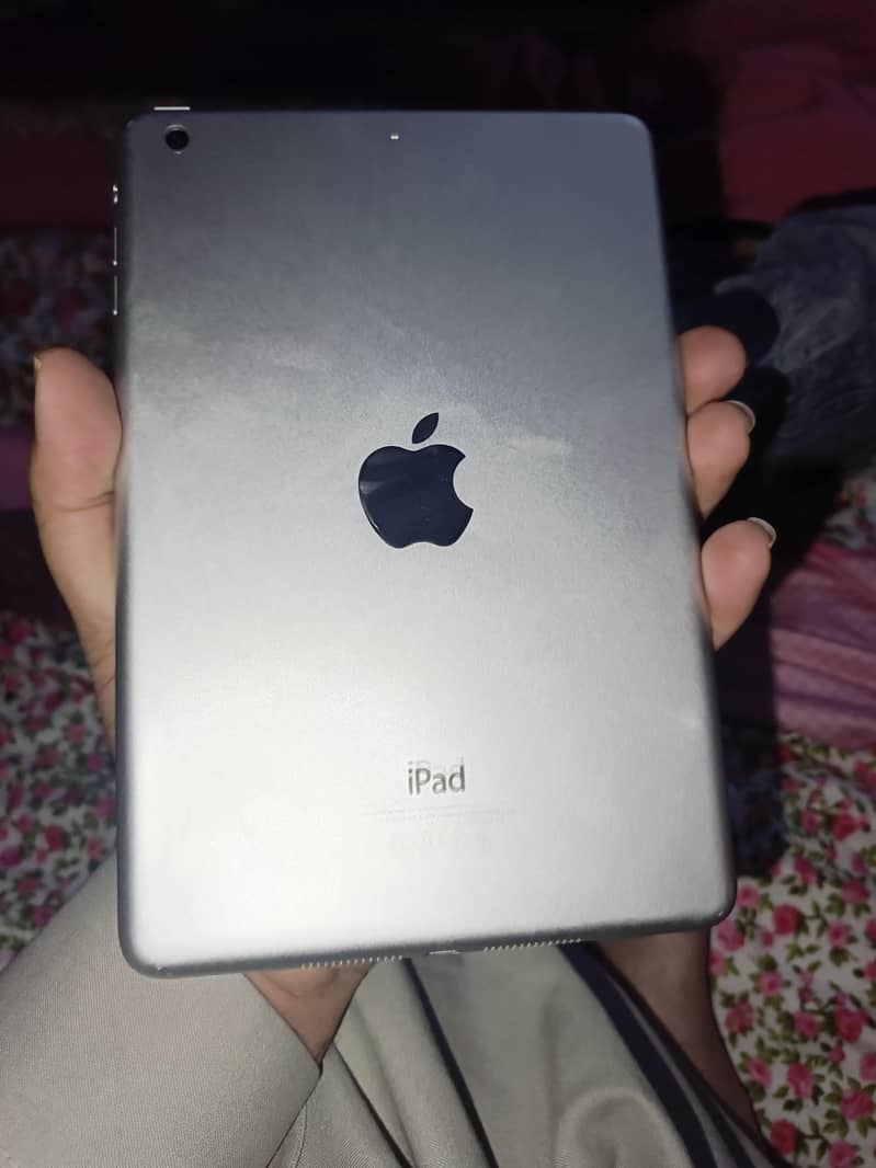ipad mini 2 1
