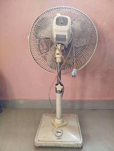 Royal Mini Fan