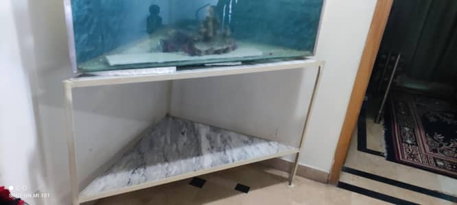 fish Aquarium