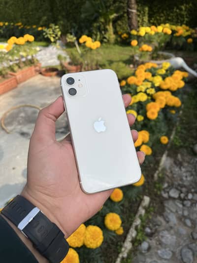 iPhone 11 white