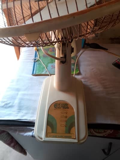 GFC Stand Fan