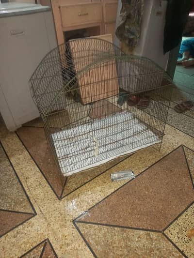 birds cage