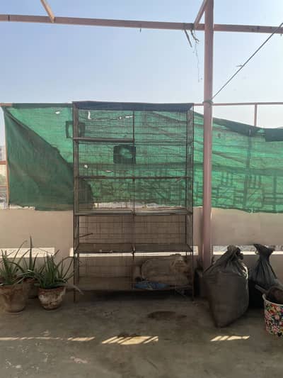 Birds Cage For Sale !!!