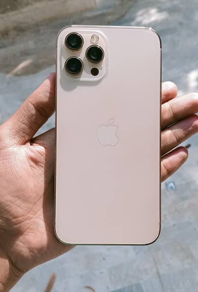 Iphone 12 pro max PTA approved