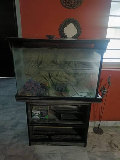 Fish Aquarium