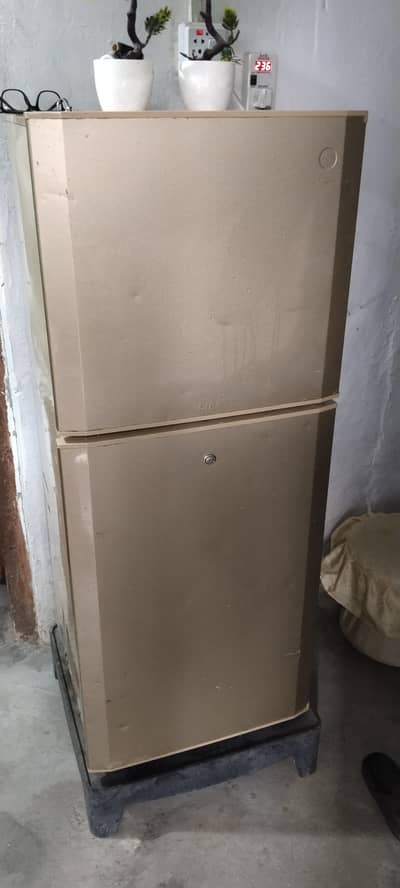 Pel Medium size Refrigerator