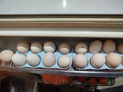Fresh Desi Eggs