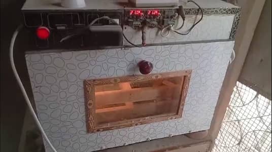 300 eggs Manual Incubator in best price
