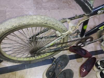 only serious buyers can contact 