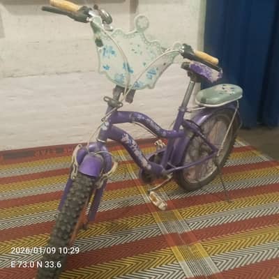 Princess bicycle of girls for sale used