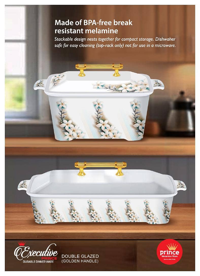 Executive Dinner Set Double Glaze 5