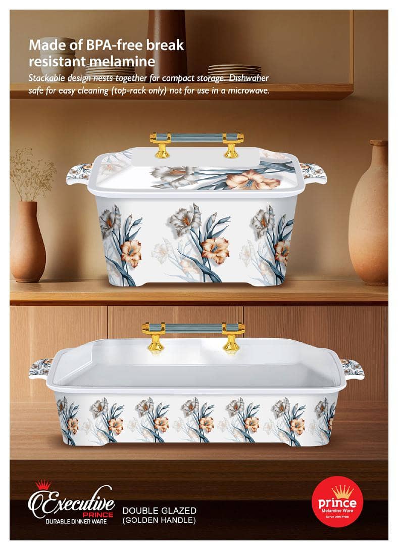 Executive Dinner Set Double Glaze 10