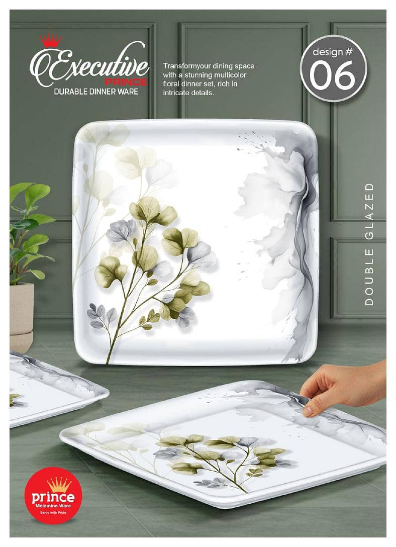 Executive Dinner Set Double Glaze 13