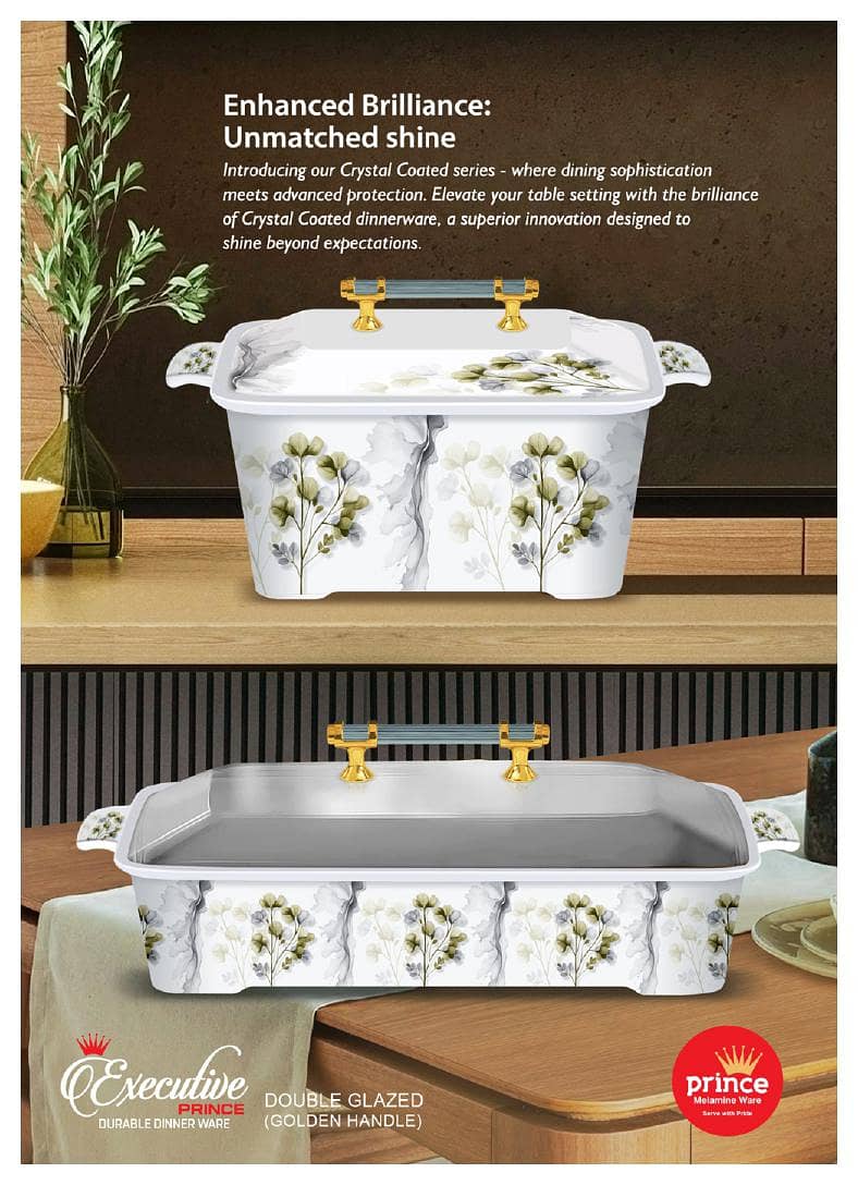 Executive Dinner Set Double Glaze 14