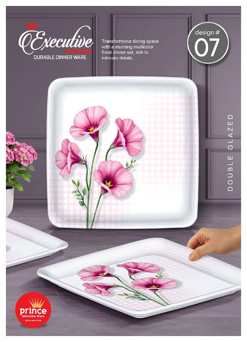 Executive Dinner Set Double Glaze 15