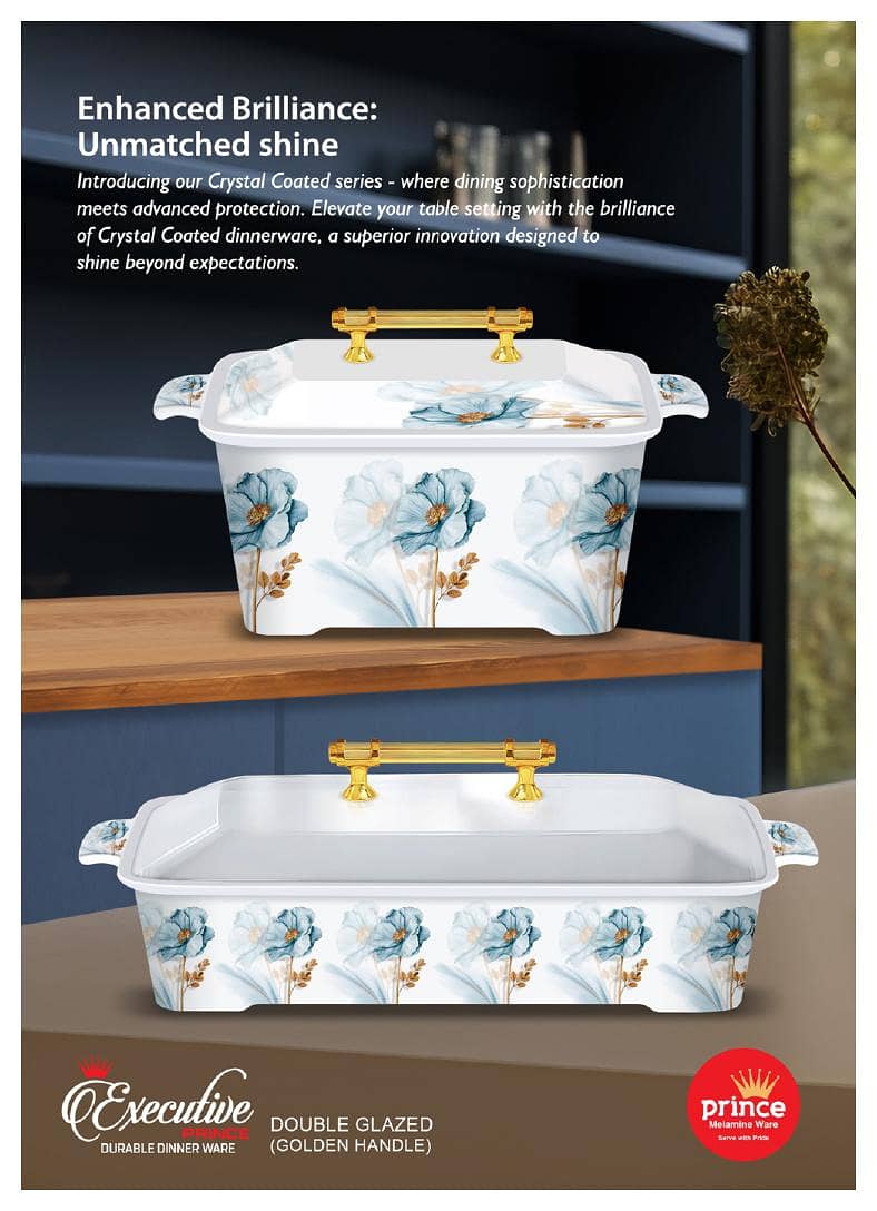 Executive Dinner Set Double Glaze 19