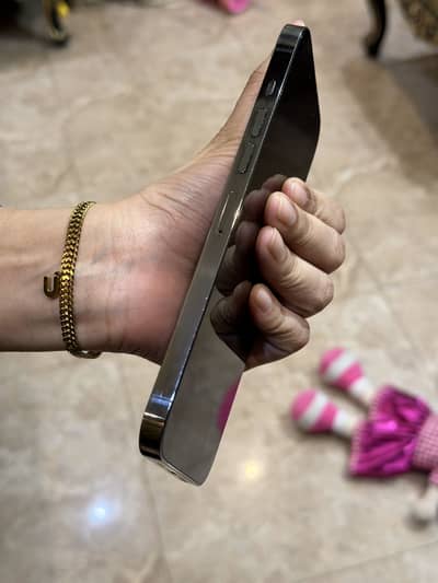 13 pro max Factory Unlock