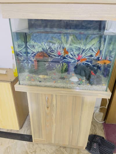Aquarium for sale…